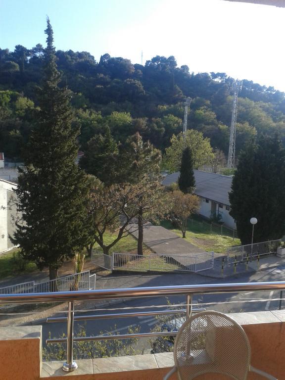 Guesthouse Lautasevic Petrovac Zewnętrze zdjęcie