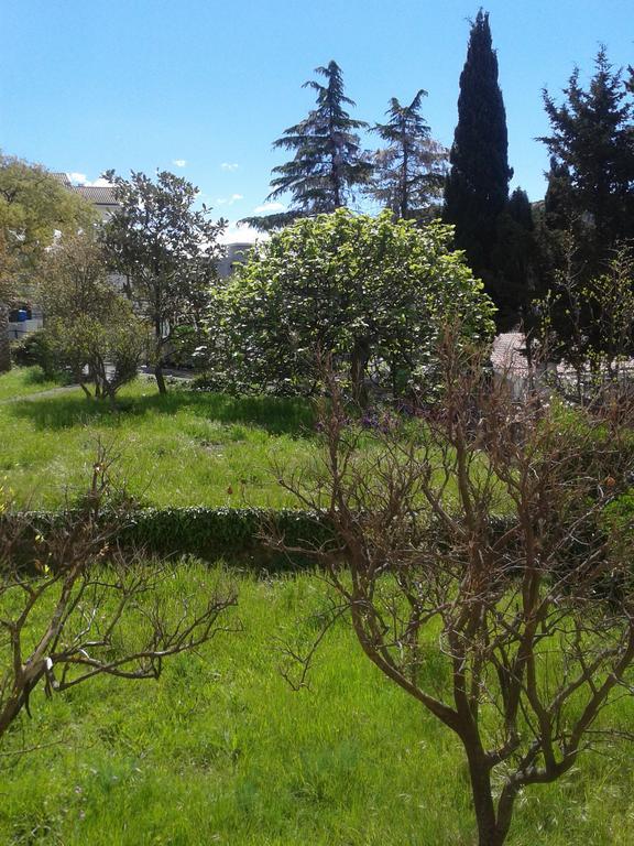 Guesthouse Lautasevic Petrovac Zewnętrze zdjęcie