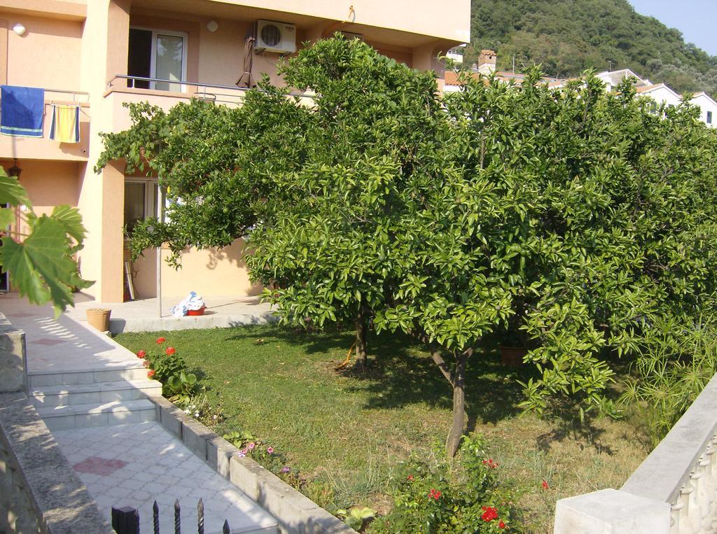 Guesthouse Lautasevic Petrovac Zewnętrze zdjęcie