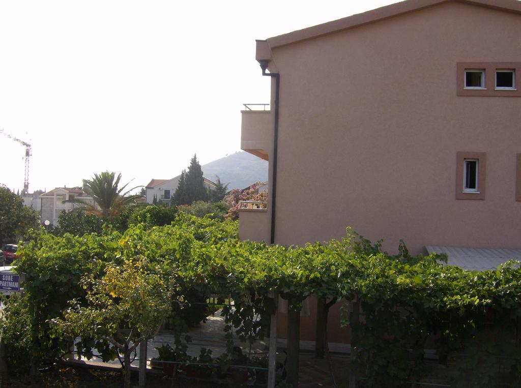 Guesthouse Lautasevic Petrovac Zewnętrze zdjęcie