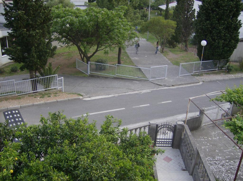 Guesthouse Lautasevic Petrovac Zewnętrze zdjęcie