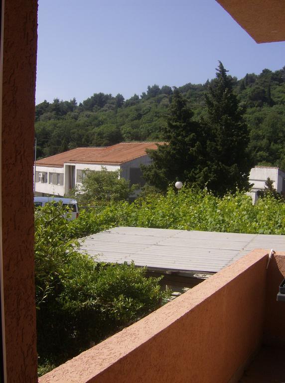 Guesthouse Lautasevic Petrovac Zewnętrze zdjęcie
